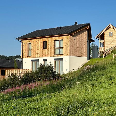 Berglisl - Direkt An Der Schipiste! Neue Ferienwohnung Mit Sauna Klippitztorl Bagian luar foto