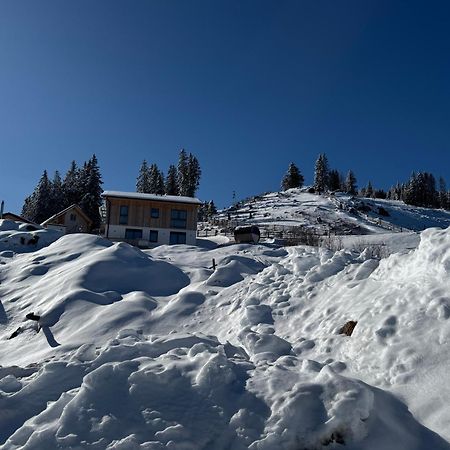 Berglisl - Direkt An Der Schipiste! Neue Ferienwohnung Mit Sauna Klippitztorl Bagian luar foto